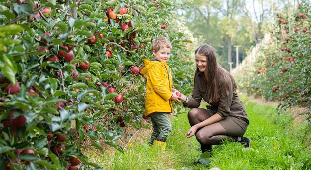 Appeloogst - vrouw en kind houden appel vast